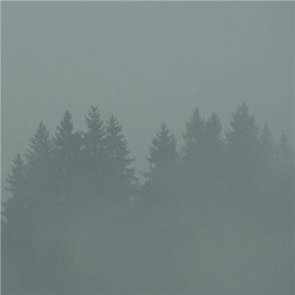 Max Loderbauer - Donnerwetter (LP)