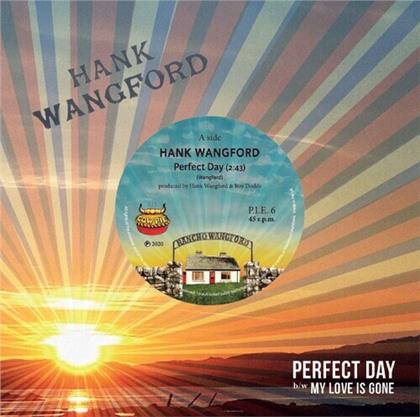 Hank Wangford - Perfect Day (7" Single)