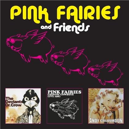 Pink Fairies - Pink Fairies And Friends (3 CDs)