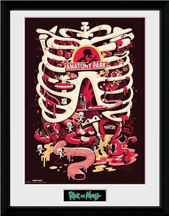 Rick And Morty: Anatomy Park - Framed Print 30cm x 40cm