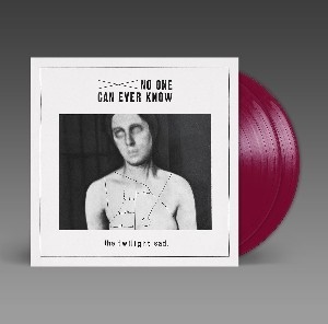 The Twilight Sad - No One Can Ever Know (2020 Reissue, 2 LPs)