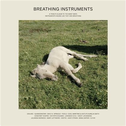 Breathing Instruments (2 LPs)