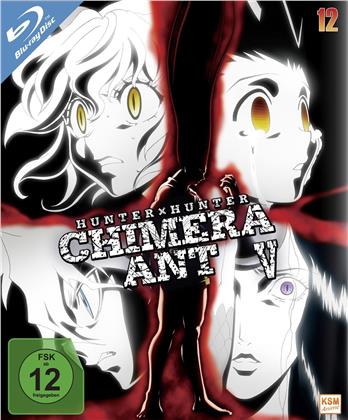 Hunter X Hunter - Vol. 12: Chimera Ant V (2011) (2 Blu-rays)