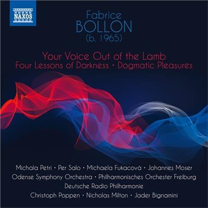 Christoph Poppen, Michala Petri, Per Solo, Michaela Fukacová, Johannes Moser, … - Your Voice Out Of The Lamb
