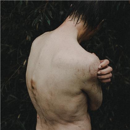 Briqueville - Quelle (2 LPs)