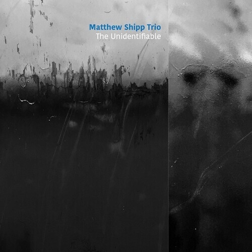 Matthew Shipp - Unidentifiable