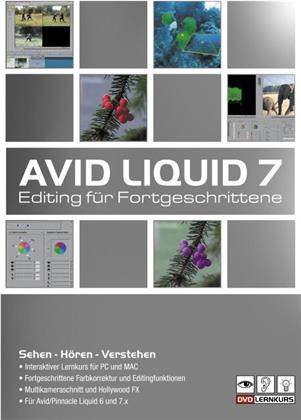 Avid Liquid - Fortgeschrittenes Editing (DVD-ROM)