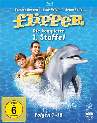 Flipper - Staffel 1 (Fernsehjuwelen, Slipcase, 3 Blu-rays)