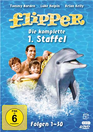 Flipper - Staffel 1 (4 DVDs)