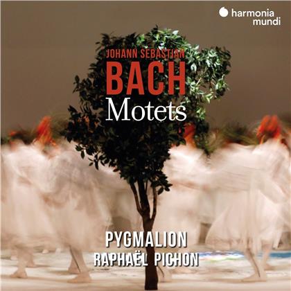Pygmalion, Raphael Pichon & Johann Sebastian Bach (1685-1750) - Motets