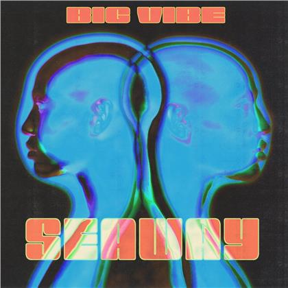 Seaway - Big Vibe (Colored, LP)