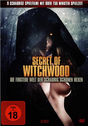 Secret of Witchwood - Die finstere Welt der schaurig schönen Hexen (3 DVDs)