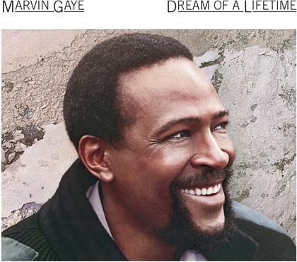 Marvin Gaye - Dream Of A Lifetime (2020 Reissue, Music On CD)