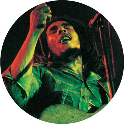Bob Marley - Soul Of A Rebel (Picture Disc, LP)