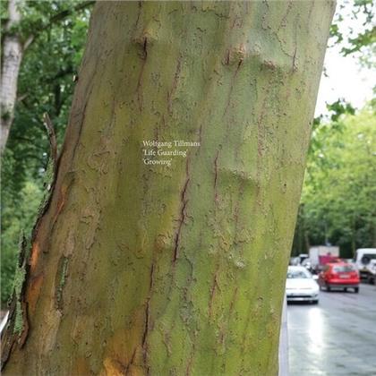 Wolfgang Tillmans - Life Guarding/Growing (12" Maxi)