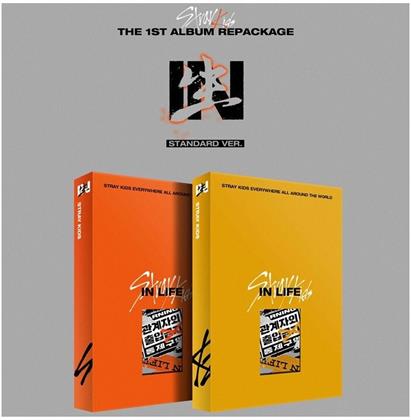 Stray Kids (K-Pop) - Vol.1 Repackaged Album: in Life (Versions Randomly Shipped)