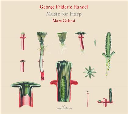 Georg Friedrich Händel (1685-1759) & Maria Galassi - Music For Harp