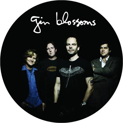 Gin Blossoms - Live In Concert (2020 Reissue, Cleopatra, Limited, Picture Disc, LP)