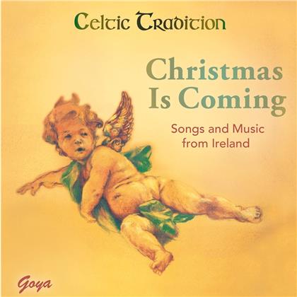 Celtic Tradition - Christmas Is Coming