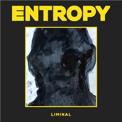 Entropy - Liminal (LP)