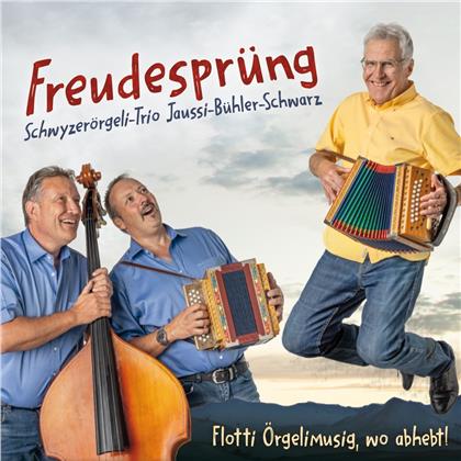 Schwyzerörgeli-Trio Jaussi-Bühler-Schwarz - Freudesprüng