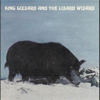 King Gizzard & The Lizard Wizard - Polygondwanaland (2020 Reissue, Fuzz Club, Colored, LP)