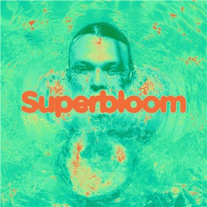 Ashton Irwin - Superbloom (Coke Bottle Clear Vinyl, LP)