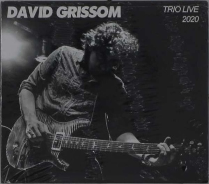 David Grissom - Trio Live 2020