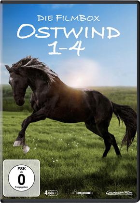 Ostwind 1-4 - Die Filmbox (4 DVDs)