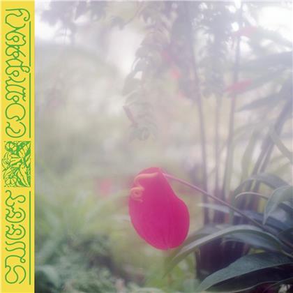 Jabu - Sweet Company (LP)