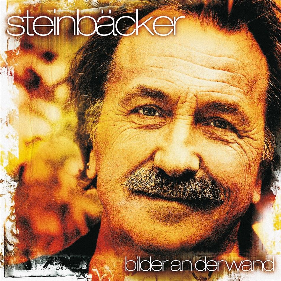 Gert Steinbäcker (STS) - Bilder An Der Wand 2021 Reissue, 2 LPs