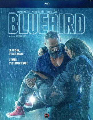 Bluebird (2018)