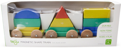 tegu Baby Big Shape Train 9 Teile