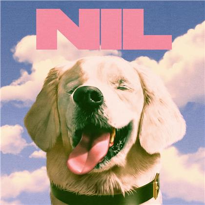 The Dirty Nil - Fuck Art (LP)
