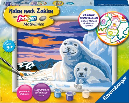 Ravensburger Malen nach Zahlen 28779 - Niedliche Robben - Kinder ab 9 Jahren