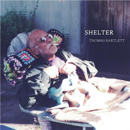 Thomas Bartlett - Shelter (LP)