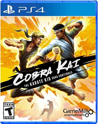 Cobra Kai Karate Kid Saga
