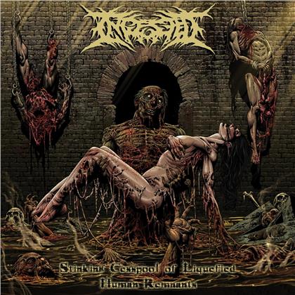 Ingested - Stinking Cesspool Of Liquified Human Remnants (10" Maxi)