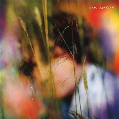 Sam Amidon - --- (Colored, LP)