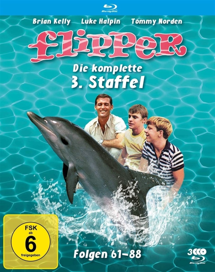 Flipper - Staffel 3 (Fernsehjuwelen, Schuber, 3 Blu-rays)