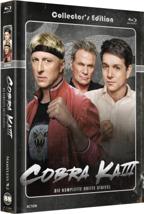 Cobra Kai - Staffel 1 (Cover B, Limited Edition, Mediabook, 2 Blu-rays + 2 DVDs)