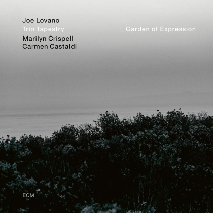 Joe Lovano & Trio Tapestry - Garden Of Expression