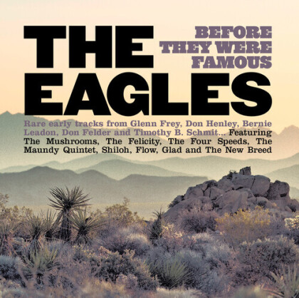 The Eagles - Eagles Before They Were Famous