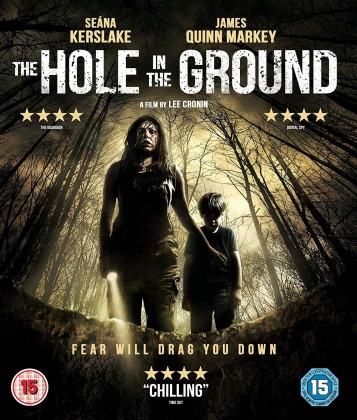 The Hole In The Ground (2019)