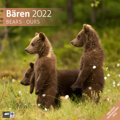 Bären 2022