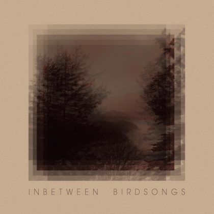 Matthias Gusset - Inbetween Birdsongs (LP)