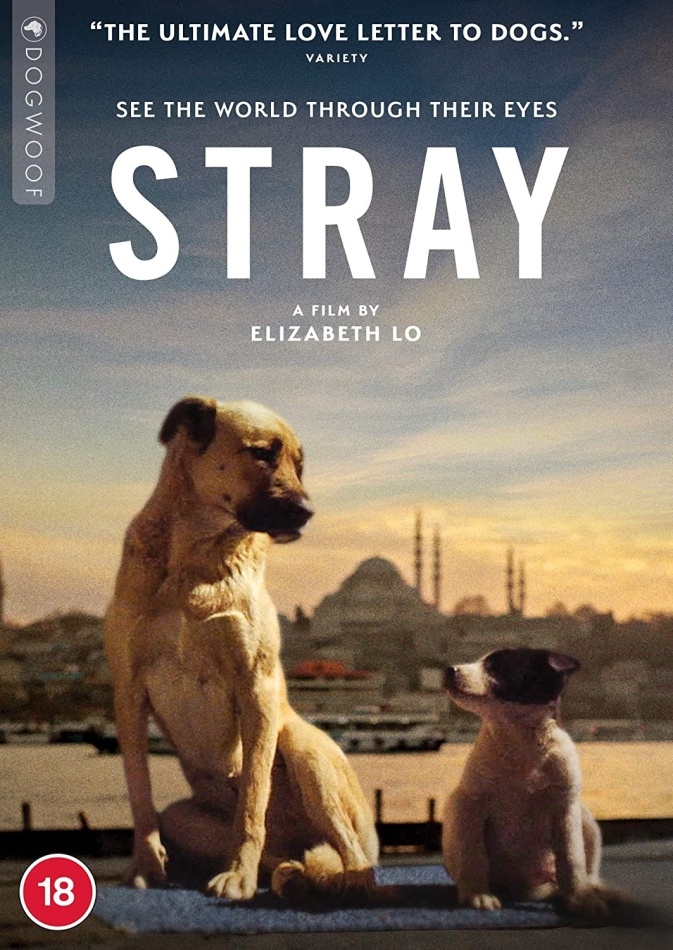Stray (2020)