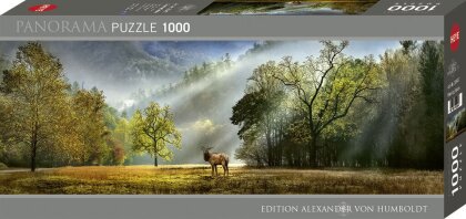 Morning Salute Puzzle