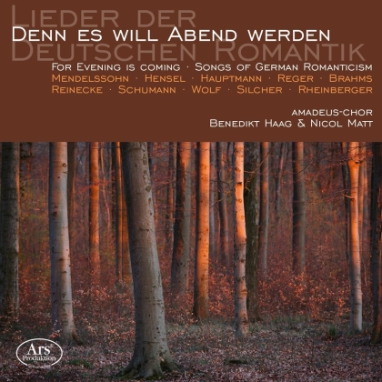 Nicol Matt, Benedikt Haag & Amadeus-Chor - Denn es will Abend werden