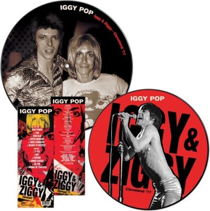 Iggy Pop - Iggy & Ziggy Cleveland '77 (2021 Reissue, Cleopatra, Picture Disc, LP)